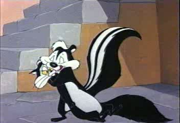 Despite what Mel Blanc taught generations of Americans, there are no skunks in France.